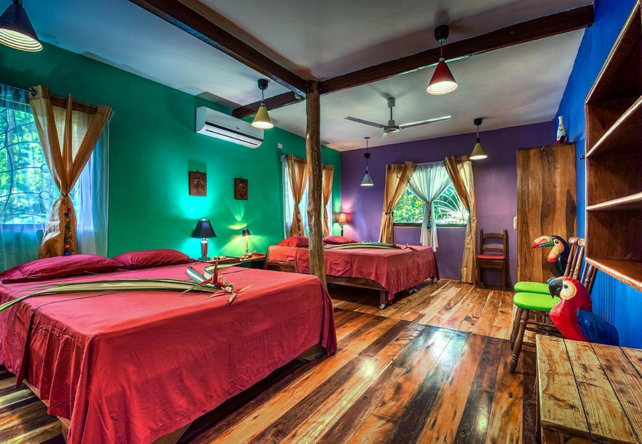 Congo Bongo Ecovillage Costa Rica Puerto Viejo de Talamanca Εξωτερικό φωτογραφία