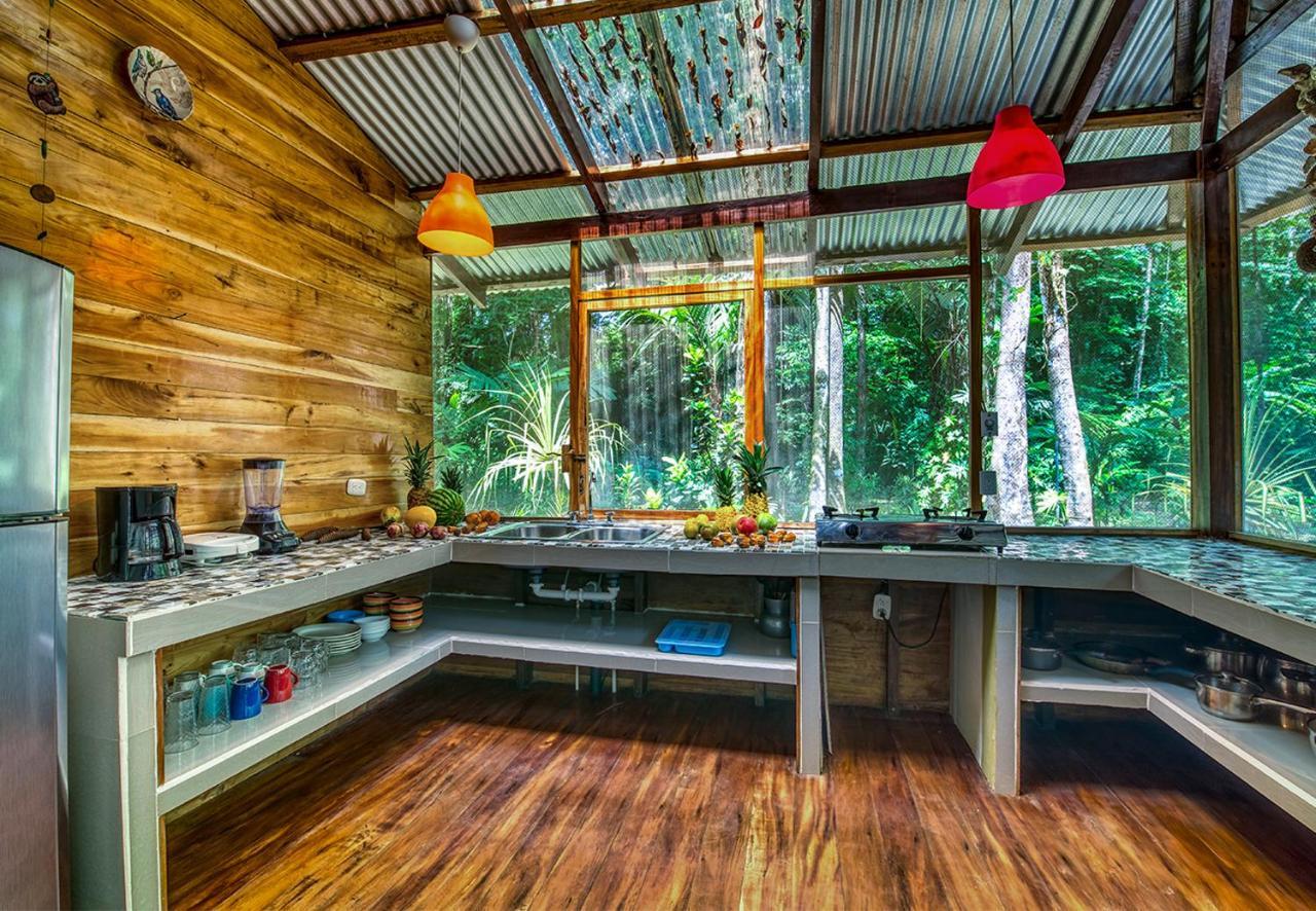 Congo Bongo Ecovillage Costa Rica Puerto Viejo de Talamanca Εξωτερικό φωτογραφία