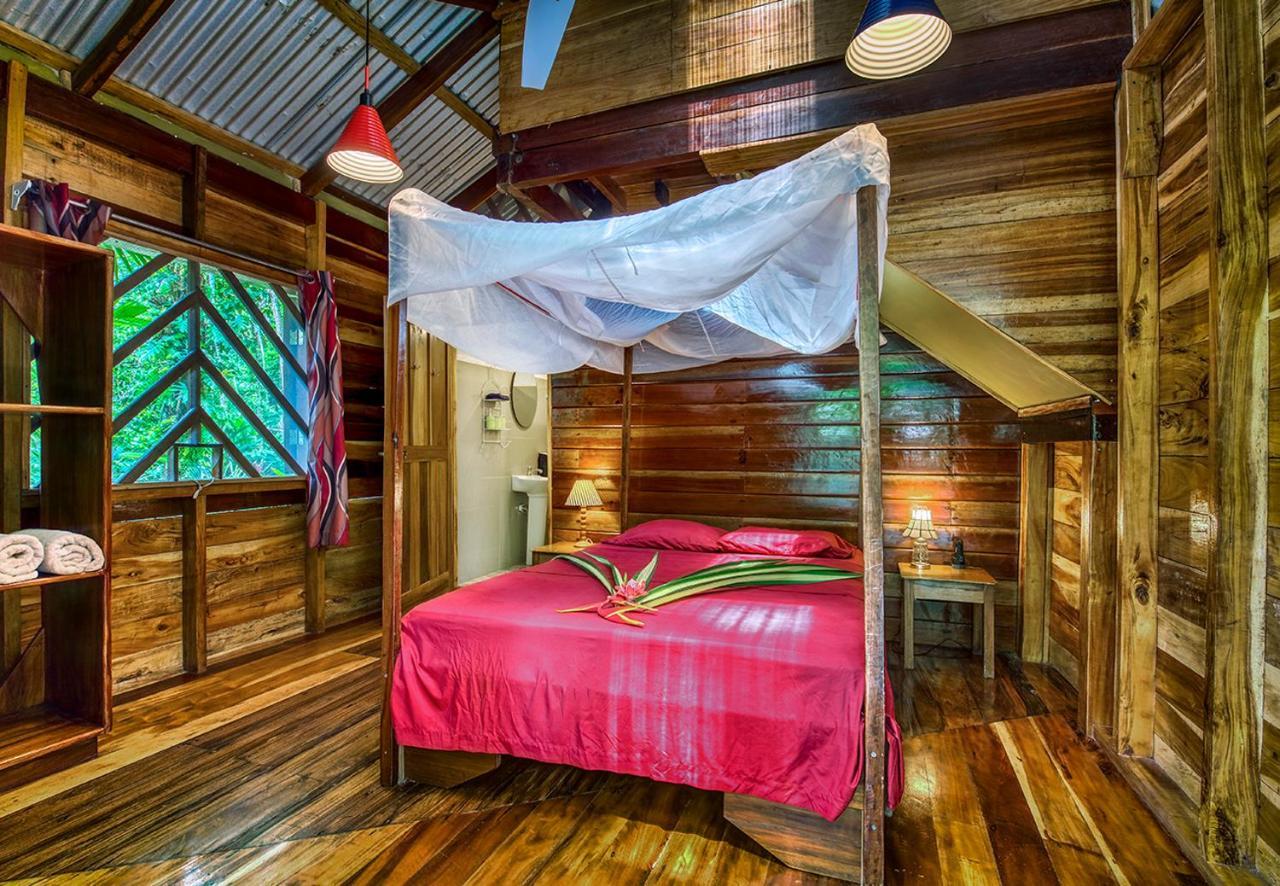 Congo Bongo Ecovillage Costa Rica Puerto Viejo de Talamanca Εξωτερικό φωτογραφία