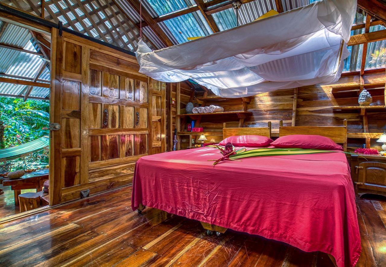 Congo Bongo Ecovillage Costa Rica Puerto Viejo de Talamanca Εξωτερικό φωτογραφία