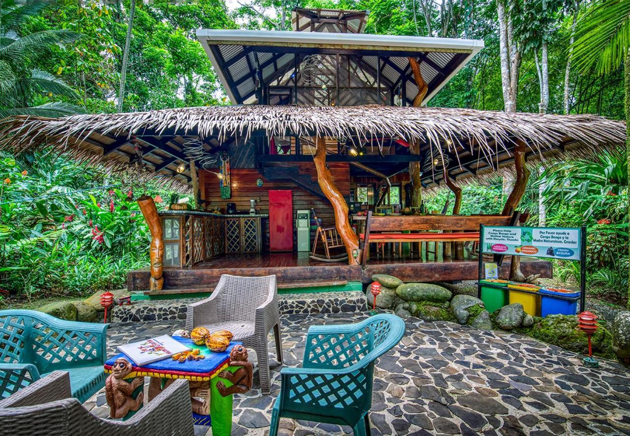 Congo Bongo Ecovillage Costa Rica Puerto Viejo de Talamanca Εξωτερικό φωτογραφία