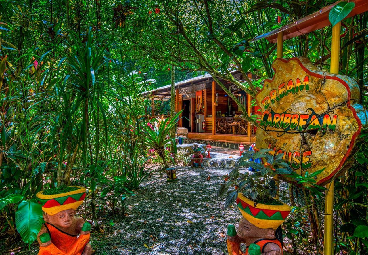 Congo Bongo Ecovillage Costa Rica Puerto Viejo de Talamanca Εξωτερικό φωτογραφία