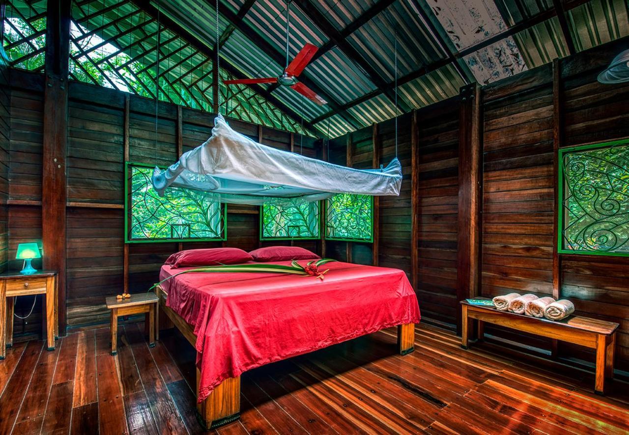Congo Bongo Ecovillage Costa Rica Puerto Viejo de Talamanca Εξωτερικό φωτογραφία